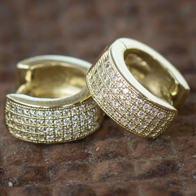 14K Gold Hoop Earring 925 sterling silver AAAAA Zircon Jewelry Party Wedding Earrings for Women Men Promise Birthday Jewelry