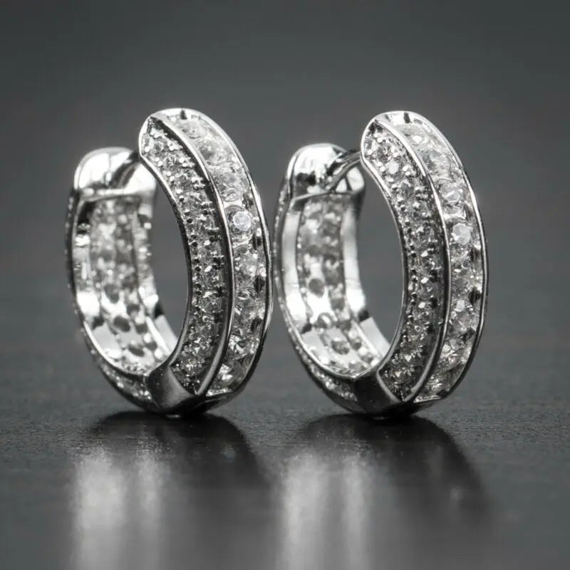 14K Gold Hoop Earring 925 sterling silver AAAAA Zircon Jewelry Party Wedding Earrings for Women Men Promise Birthday Jewelry
