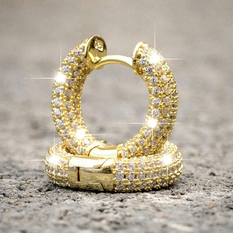 14K Gold Hoop Earring 925 sterling silver AAAAA Zircon Jewelry Party Wedding Earrings for Women Men Promise Birthday Jewelry