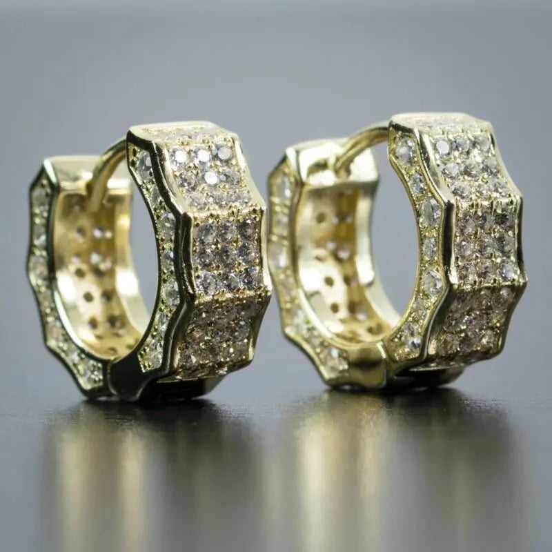 14K Gold Hoop Earring 925 sterling silver AAAAA Zircon Jewelry Party Wedding Earrings for Women Men Promise Birthday Jewelry