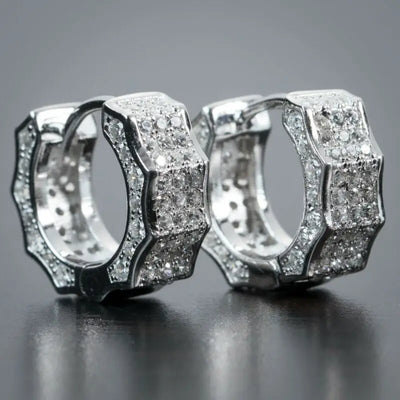 14K Gold Hoop Earring 925 sterling silver AAAAA Zircon Jewelry Party Wedding Earrings for Women Men Promise Birthday Jewelry
