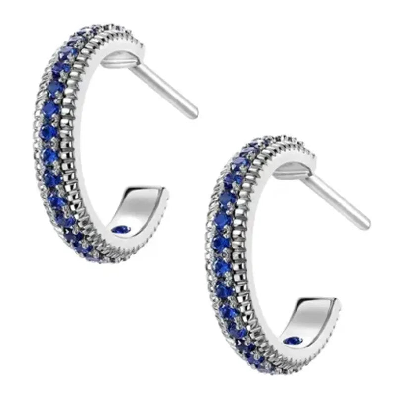 14K Gold Hoop Earring 925 sterling silver AAAAA Zircon Jewelry Party Wedding Earrings for Women Men Promise Birthday Jewelry